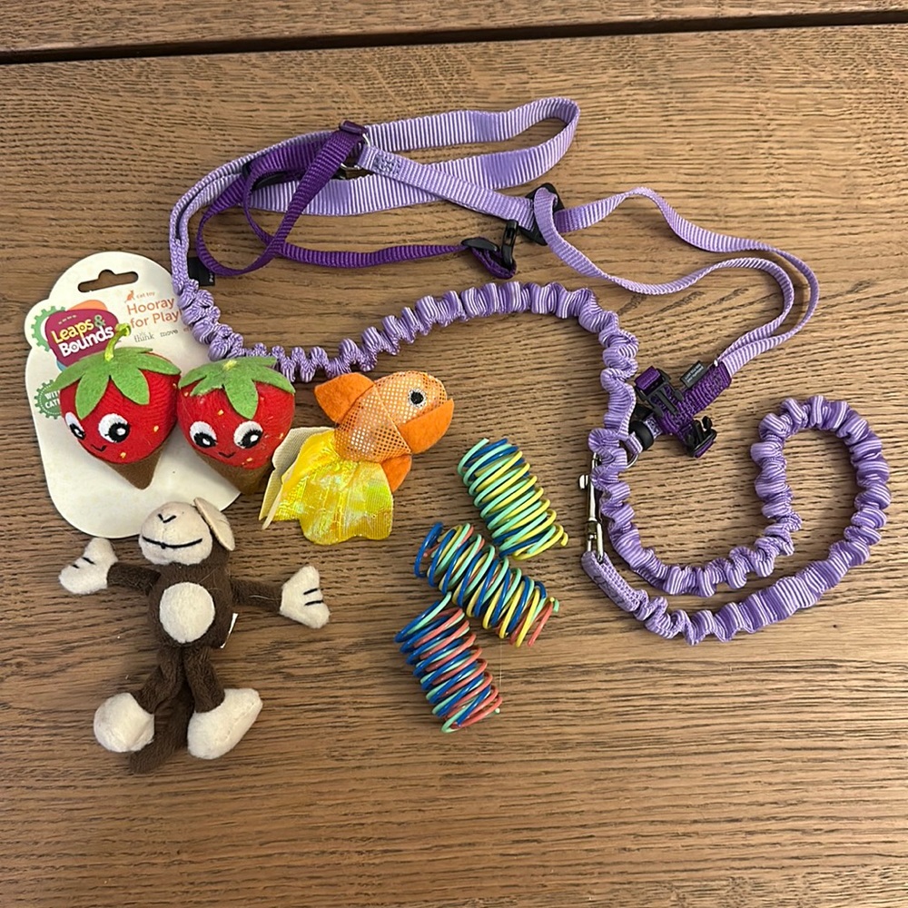 Cat toys